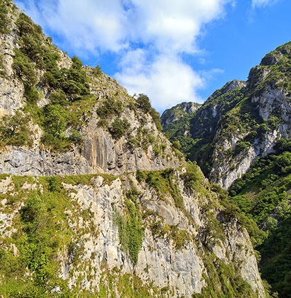 campamento de ingles en asturias montaña